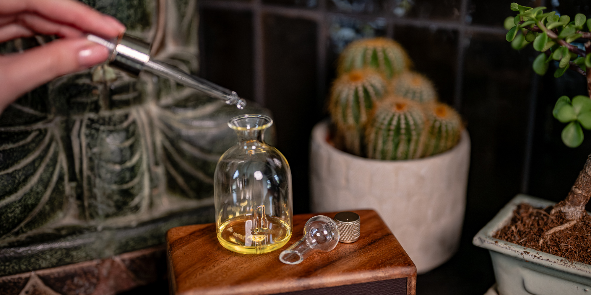 width=100% Dyfuzor olejków, aromatyzer zapachowy Humanas Natural Wood - drewno orzecha włoskiego